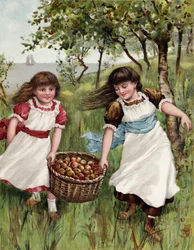 A Basket of Summer Fruit
